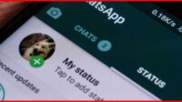 WhatsApp mention Status, fitur WhatsApp beta, sinkronisasi kontak WhatsApp, mention di Status, share ulang Status, fitur baru WhatsApp, kontak WhatsApp terpisah, backup kontak WhatsApp, pengaturan privasi Status, aplikasi WhatsApp terbaru