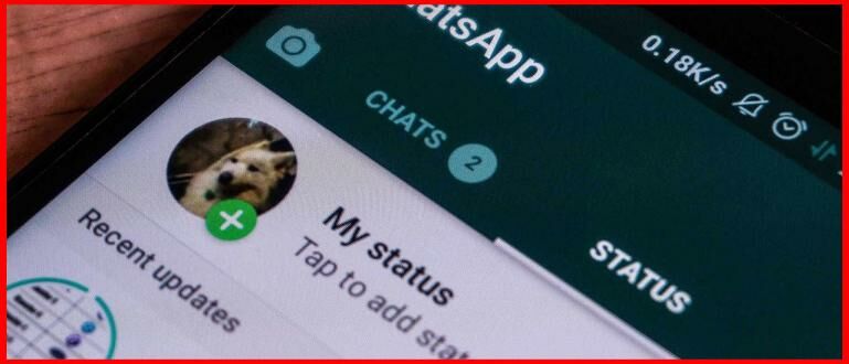 WhatsApp mention Status, fitur WhatsApp beta, sinkronisasi kontak WhatsApp, mention di Status, share ulang Status, fitur baru WhatsApp, kontak WhatsApp terpisah, backup kontak WhatsApp, pengaturan privasi Status, aplikasi WhatsApp terbaru