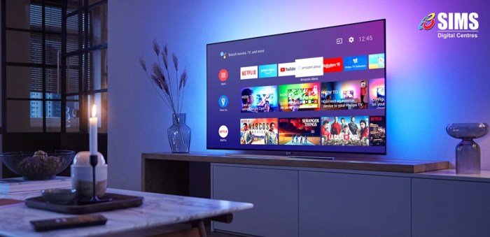 Cara menggunakan Android TV secara optimal