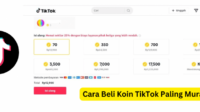 Harga koin TikTok